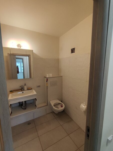 Campia Libertatii, Gheorghe Petrascu, apartament camere